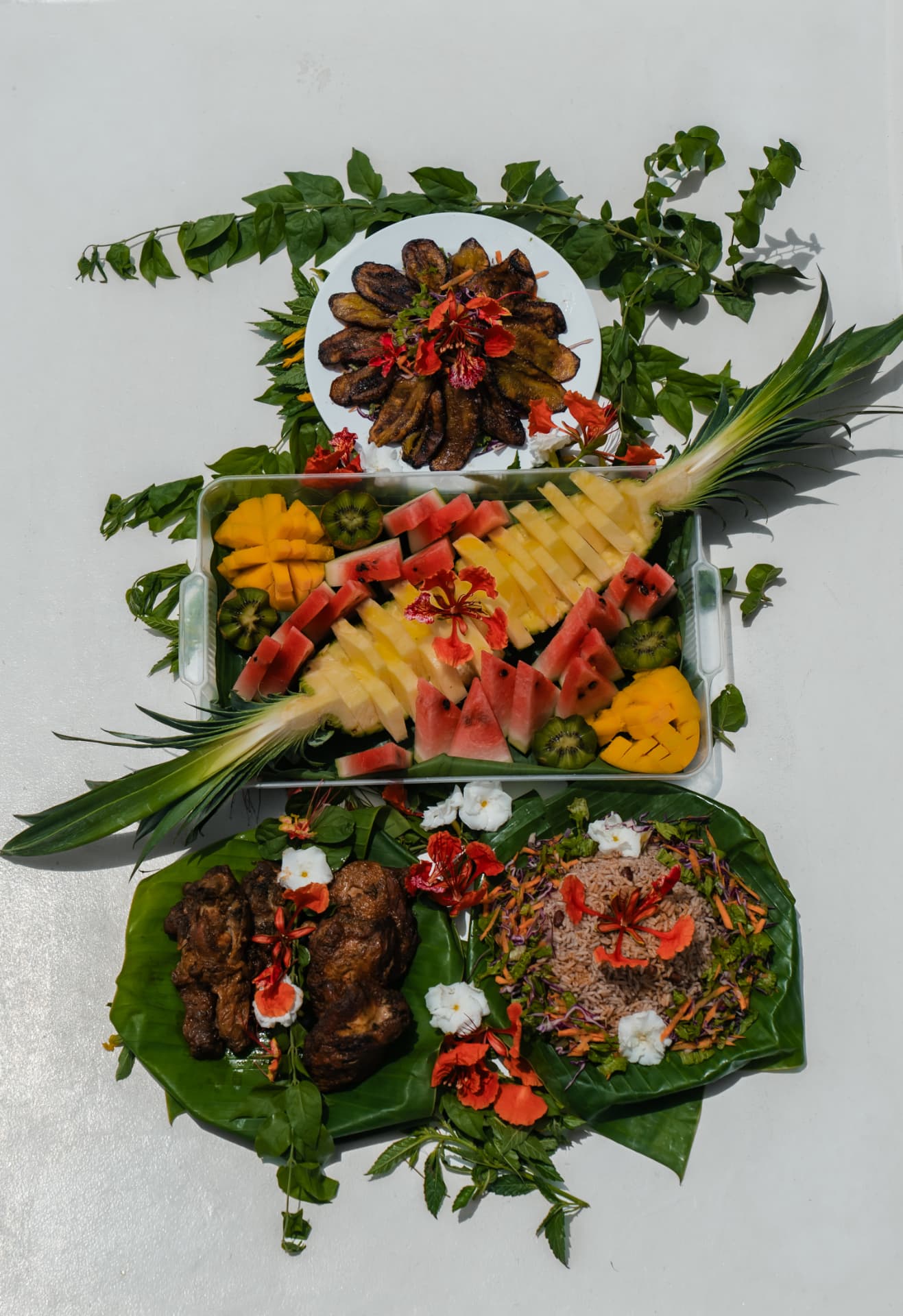 Fresh Costa Rican food served on board