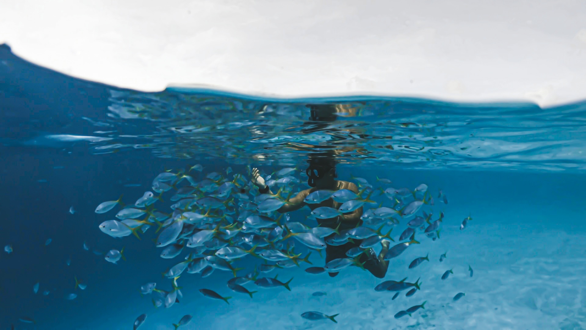 Snorkeling in the clear waters of Guanacaste